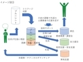 ブルーシートのトリアージ