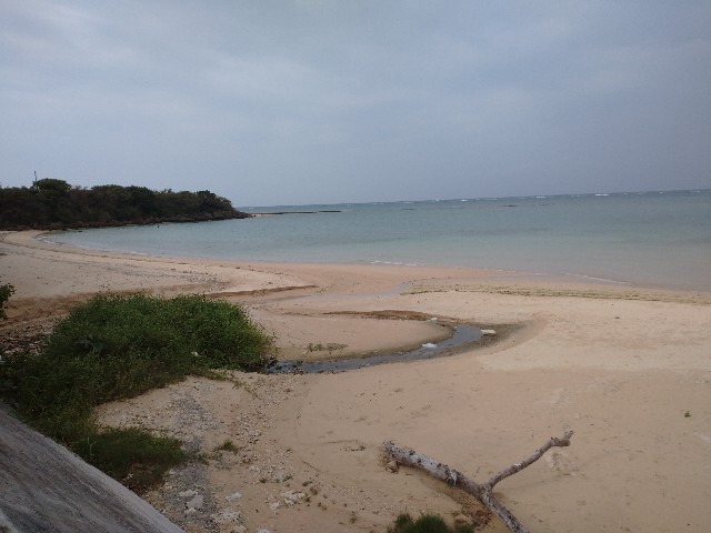 f:id:saigaingoyui:20220217171858j:image