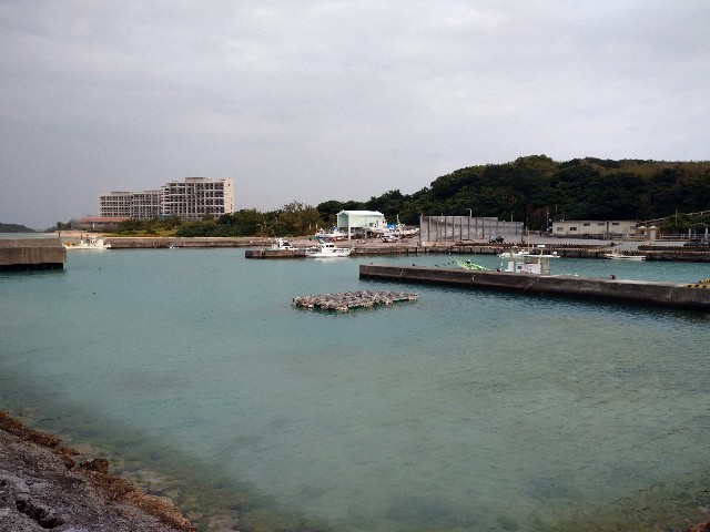 f:id:saigaingoyui:20220217171924j:image