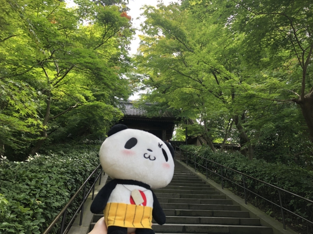 お買いものパンダ デカおはつらいよ フーテンのおパ次郎の巻 お買いものパンダ日記