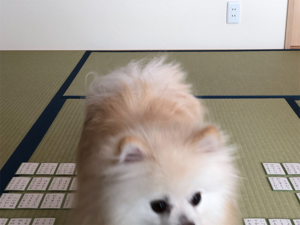 f:id:saigo3150:20200409054508j:image