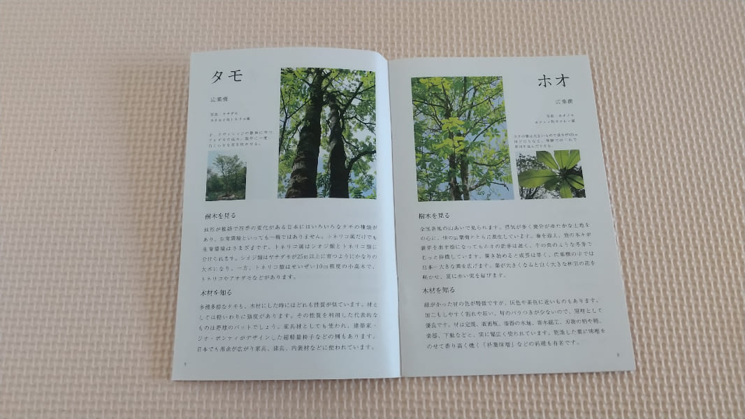 オークヴィレッジ積み木の口コミ