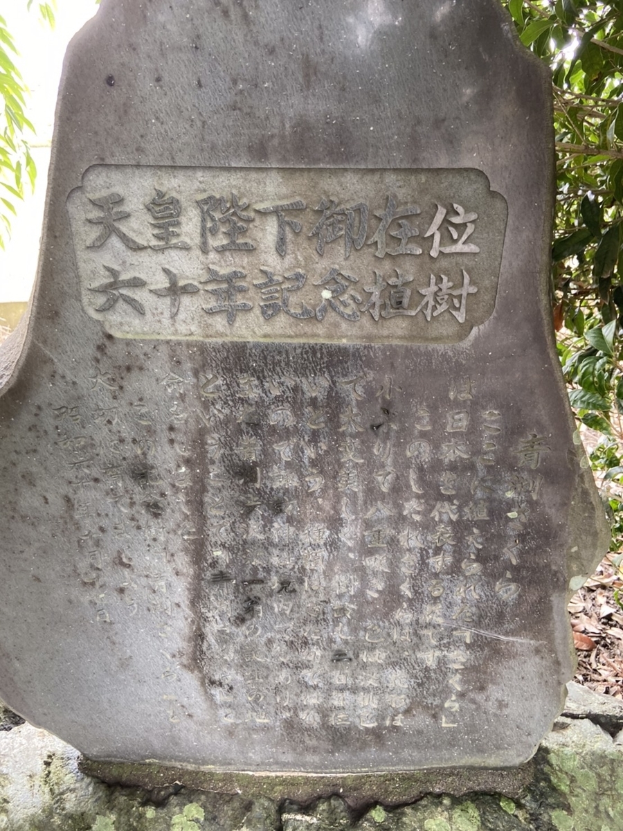 f:id:saihakken_pj:20200804191116j:plain f:id:saihakken_pj:20200804191116j:plain