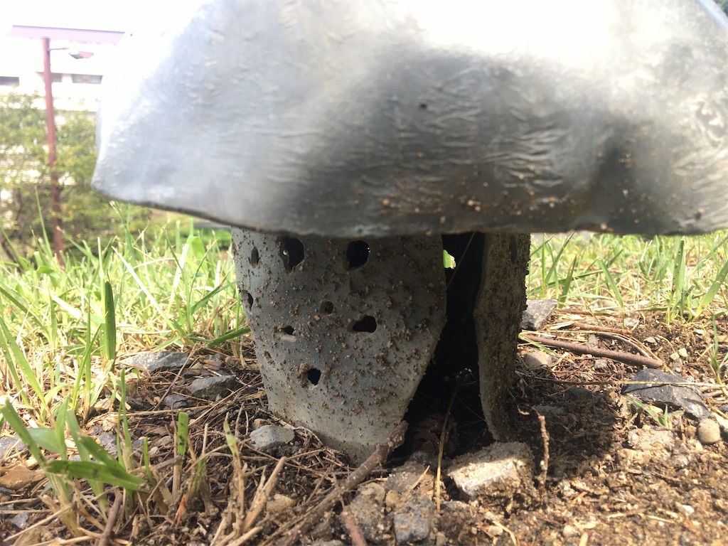 f:id:saihakken_pj:20200903174837j:image f:id:saihakken_pj:20200903174837j:image