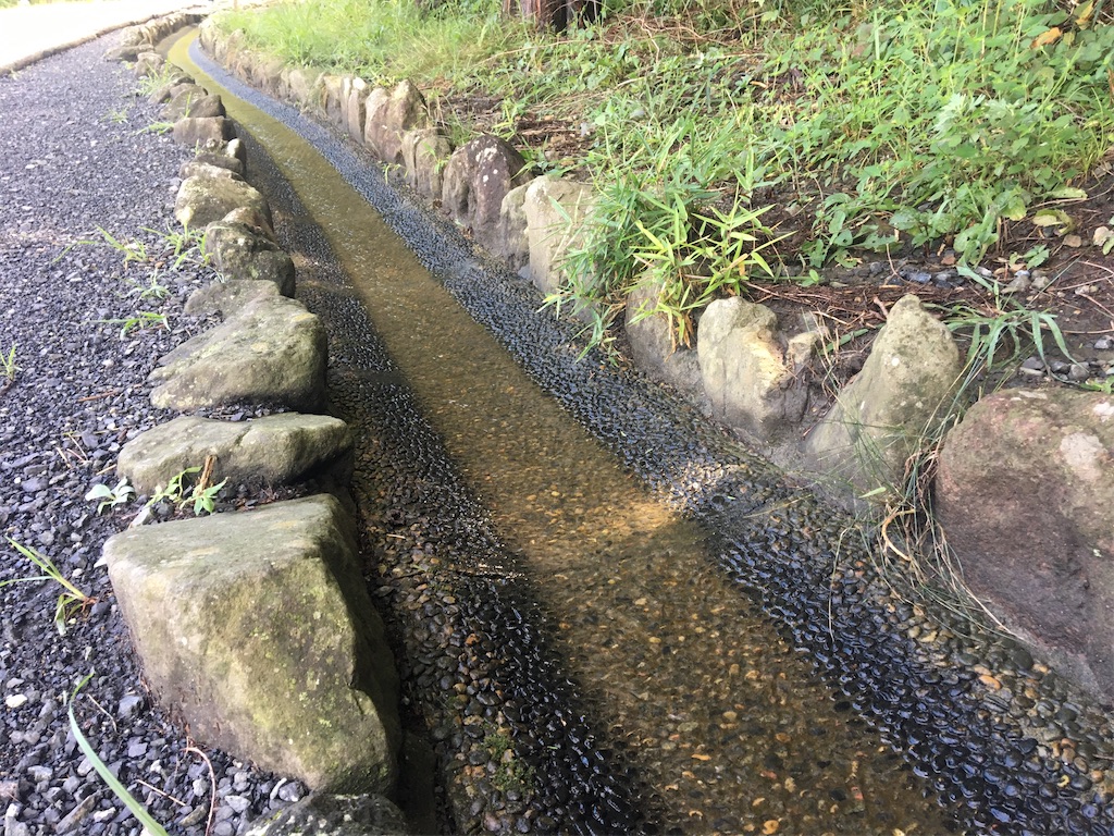 f:id:saihakken_pj:20200903174924j:image f:id:saihakken_pj:20200903174924j:image