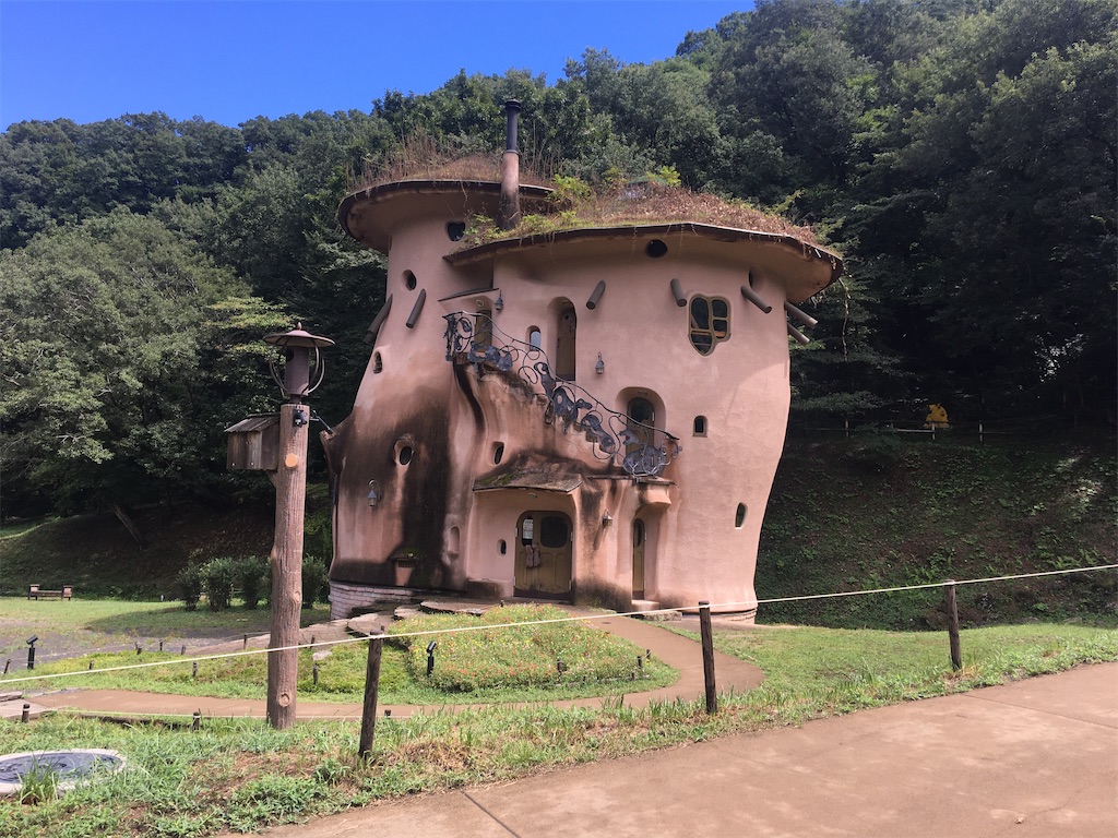 f:id:saihakken_pj:20200903175105j:image f:id:saihakken_pj:20200903175105j:image