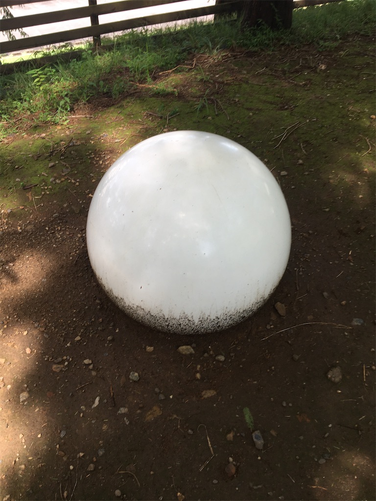 f:id:saihakken_pj:20200903180237j:image f:id:saihakken_pj:20200903180237j:image