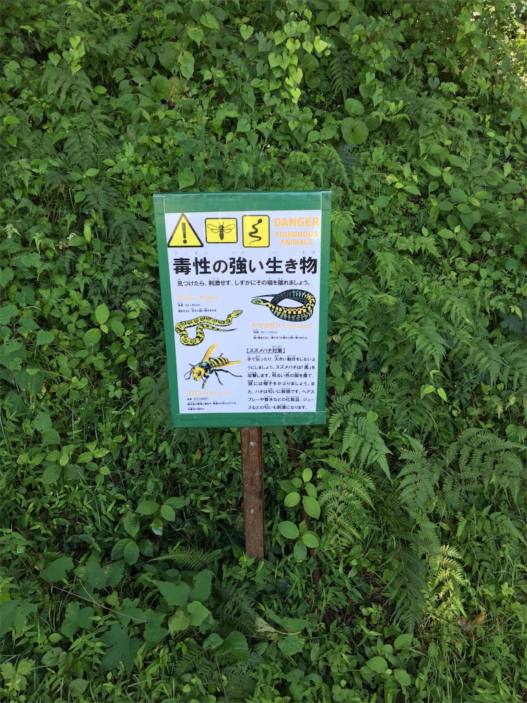 f:id:saihakken_pj:20200905073717j:image f:id:saihakken_pj:20200905073717j:image