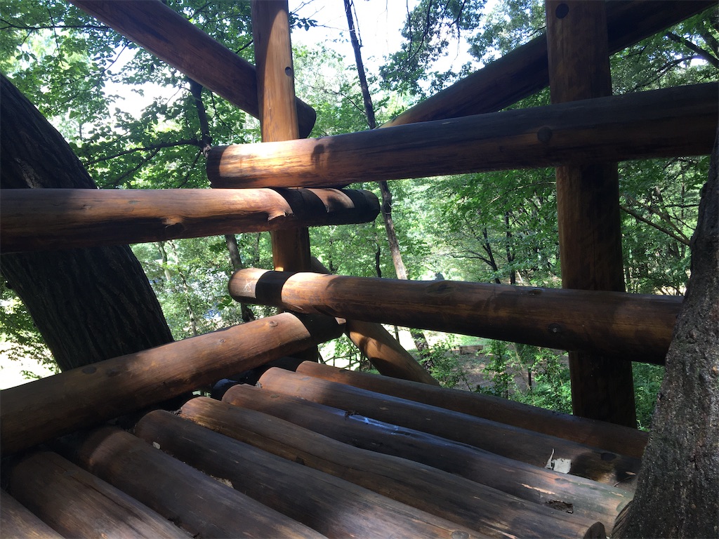 f:id:saihakken_pj:20200905073959j:image f:id:saihakken_pj:20200905073959j:image