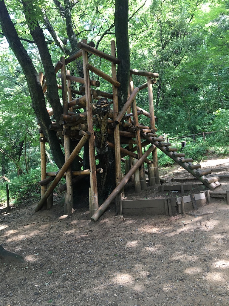 f:id:saihakken_pj:20200905074003j:image f:id:saihakken_pj:20200905074003j:image