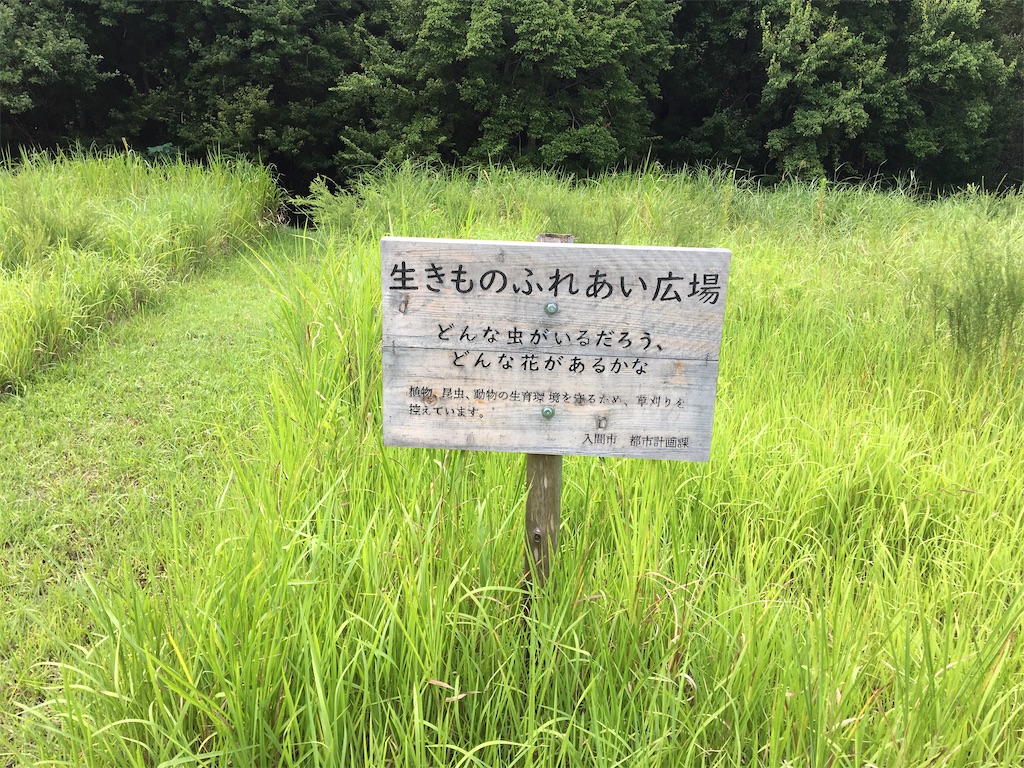 f:id:saihakken_pj:20200914184955j:image