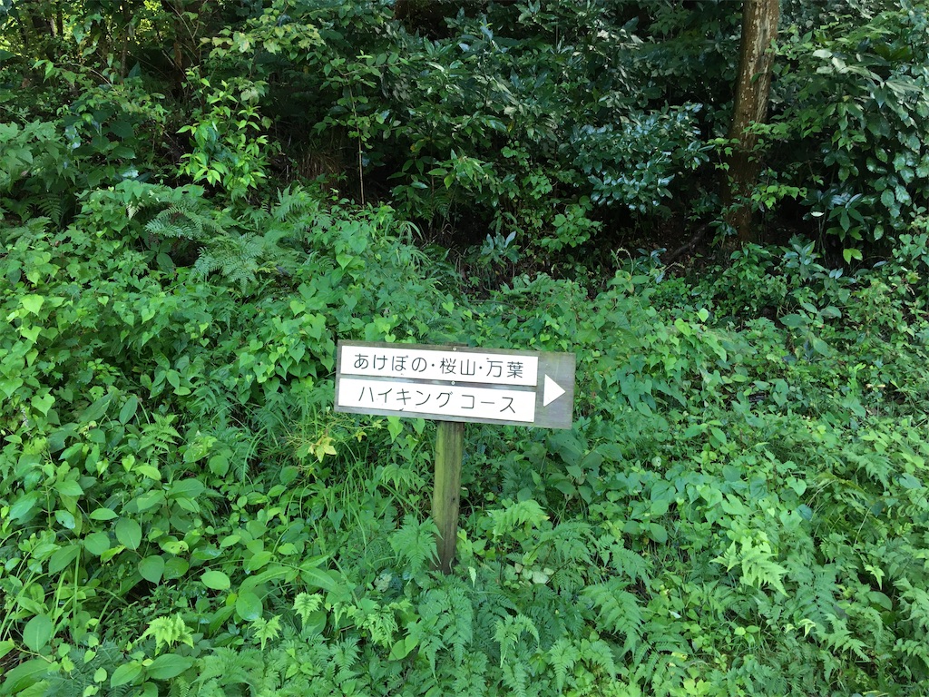 f:id:saihakken_pj:20200914185010j:image