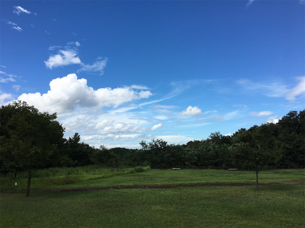 f:id:saihakken_pj:20200914185014j:image