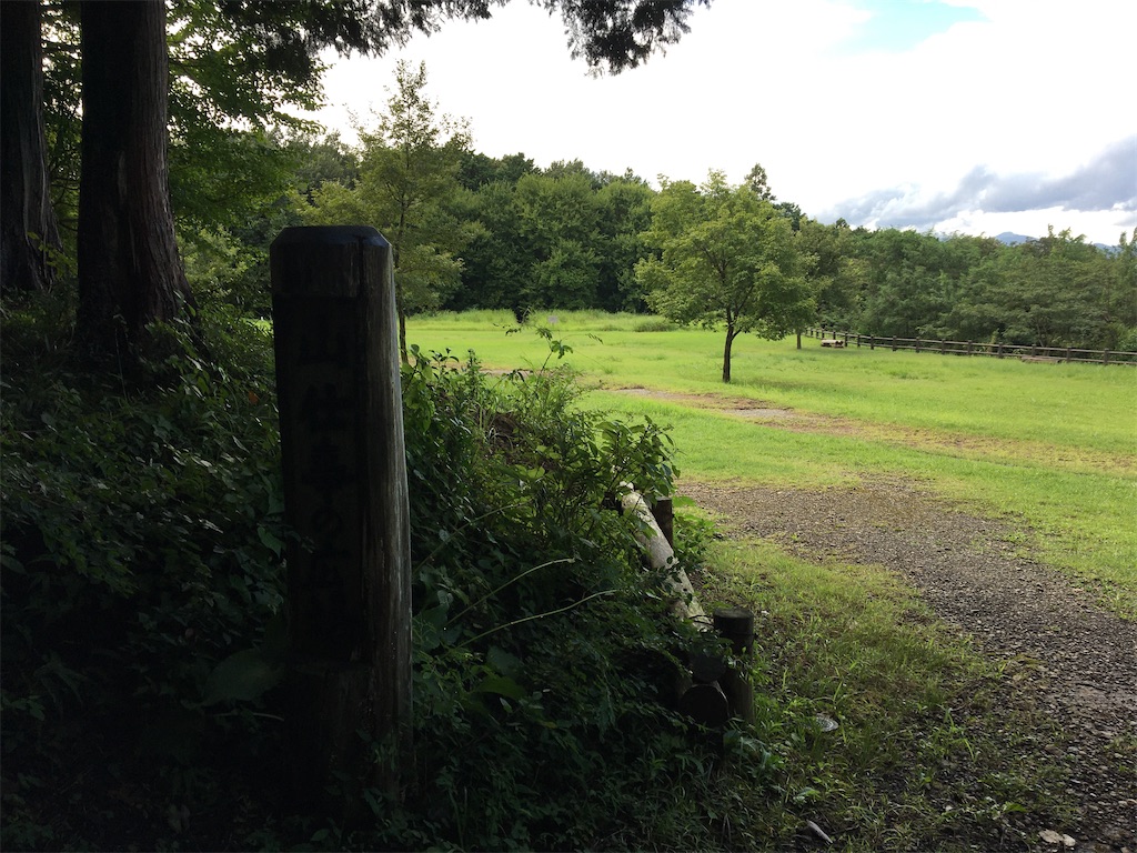 f:id:saihakken_pj:20200914185046j:image