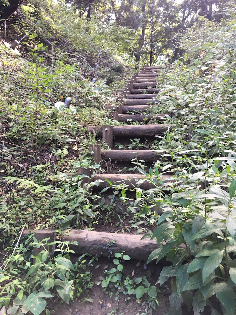 f:id:saihakken_pj:20200914185051j:image