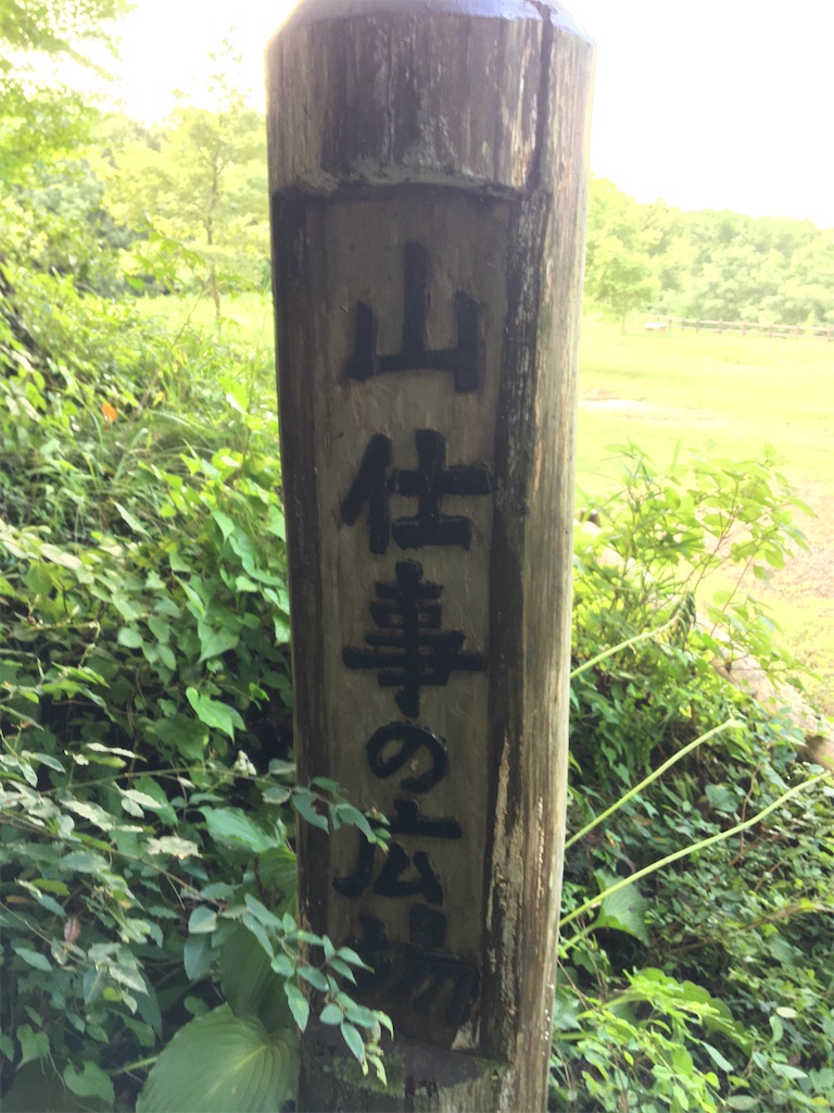 f:id:saihakken_pj:20200914185054j:image