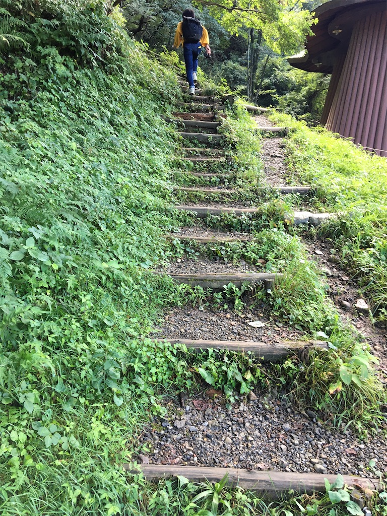 f:id:saihakken_pj:20200914185057j:image