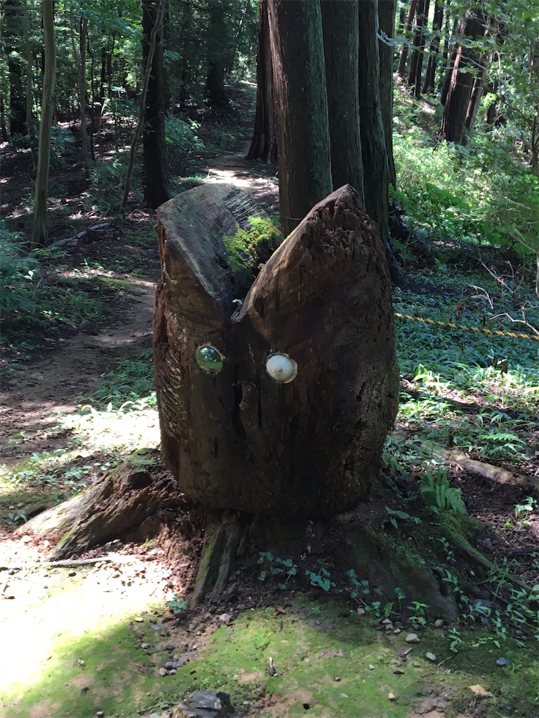 f:id:saihakken_pj:20200914185106j:image