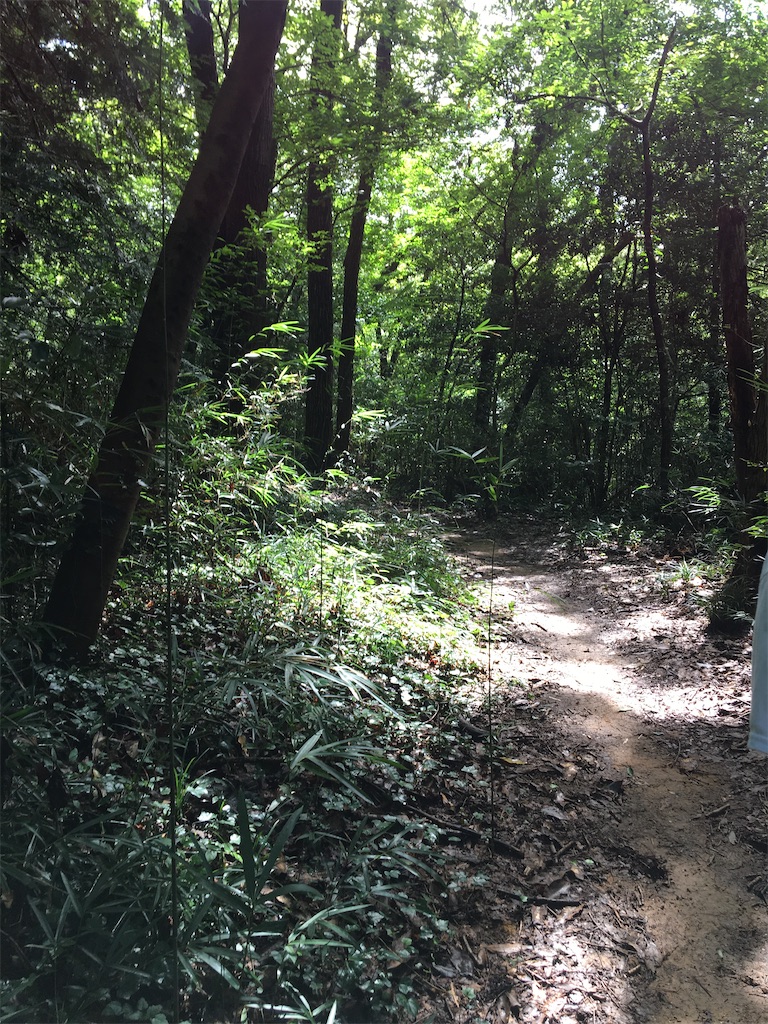 f:id:saihakken_pj:20200914185130j:image