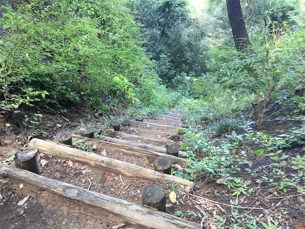 f:id:saihakken_pj:20200914185138j:image