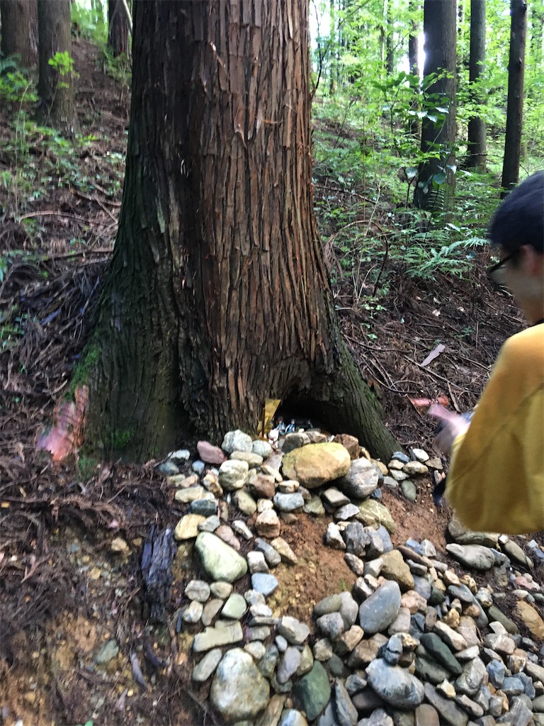 f:id:saihakken_pj:20200914185142j:image