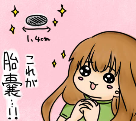 f:id:saikablog:20200831100422j:plain