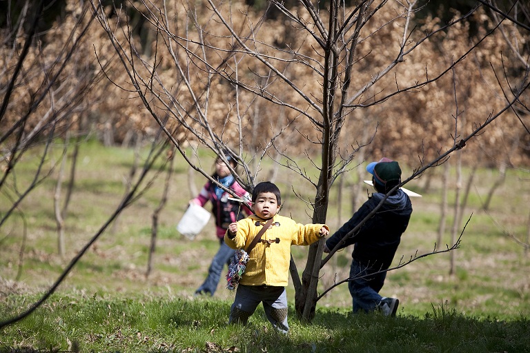 f:id:saikaigenkimura:20110327123806j:image:w360 f:id:saikaigenkimura:20110327123806j:image:w360