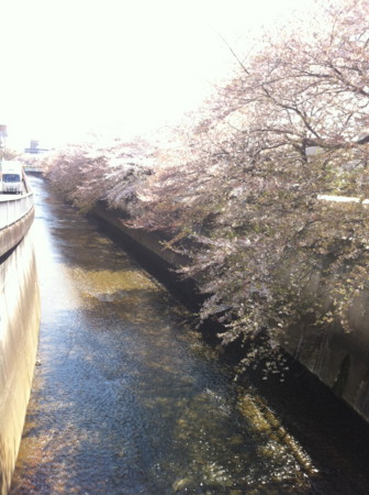 f:id:saikidoo:20110413100131j:image f:id:saikidoo:20110413100131j:image