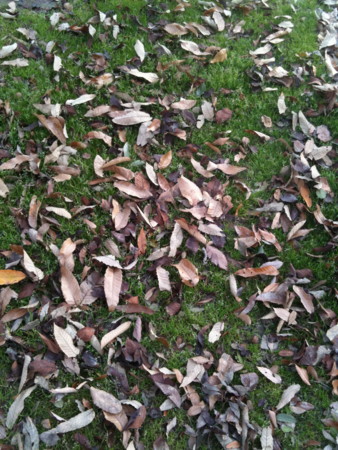 f:id:saiko-dondesta:20101217151422j:image f:id:saiko-dondesta:20101217151422j:image