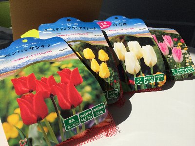 f:id:saikoh-diary:20141020161350j:image f:id:saikoh-diary:20141020161350j:image