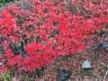 20181110114557