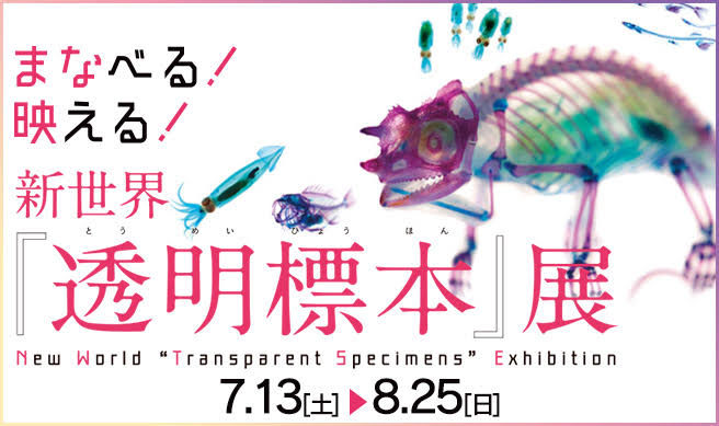 f:id:saikoh-diary:20190806081711p:plain f:id:saikoh-diary:20190806081711p:plain