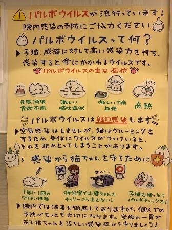 f:id:saikoh-diary:20200804185824j:plain f:id:saikoh-diary:20200804185824j:plain