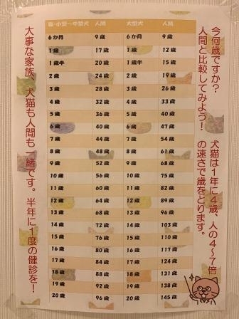 f:id:saikoh-diary:20200804190213j:plain f:id:saikoh-diary:20200804190213j:plain