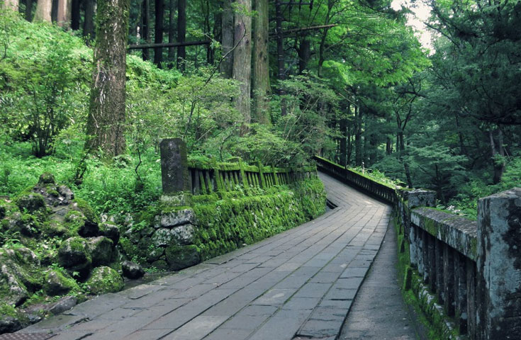 f:id:saikootoko:20200518225511j:plain f:id:saikootoko:20200518225511j:plain