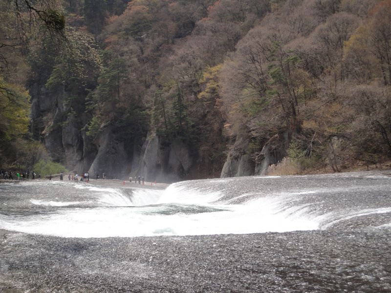 f:id:saikootoko:20200518231712j:plain f:id:saikootoko:20200518231712j:plain