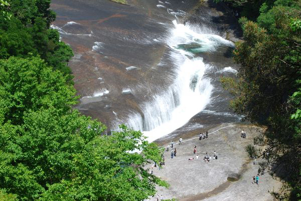 f:id:saikootoko:20200518231820j:plain f:id:saikootoko:20200518231820j:plain