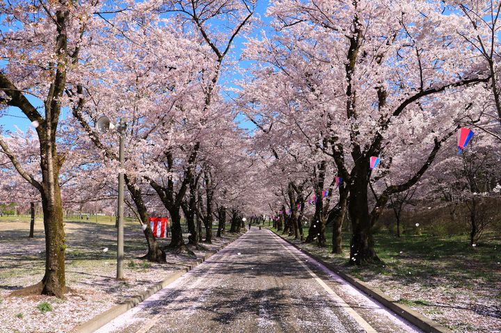 f:id:saikootoko:20200518232405j:plain f:id:saikootoko:20200518232405j:plain