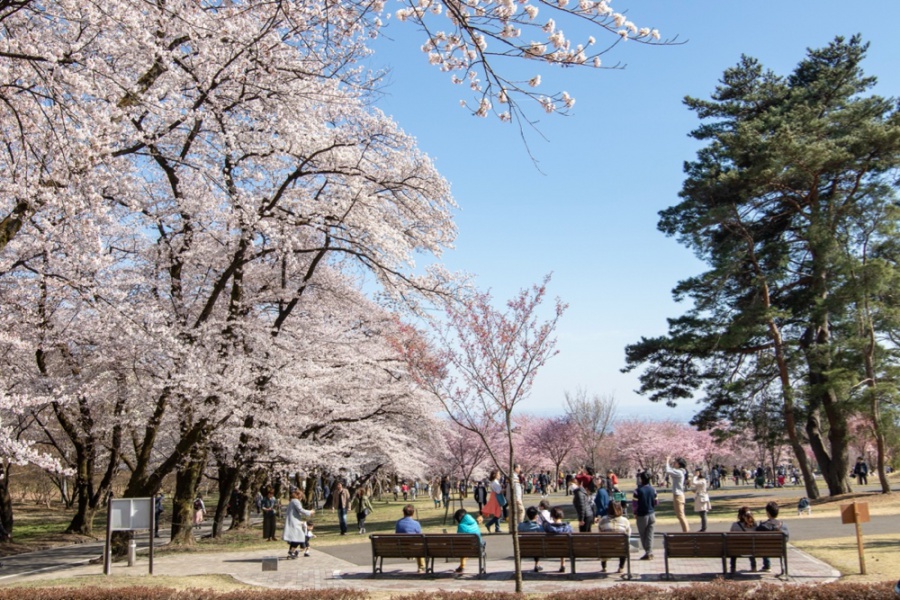 f:id:saikootoko:20200518232640j:plain f:id:saikootoko:20200518232640j:plain