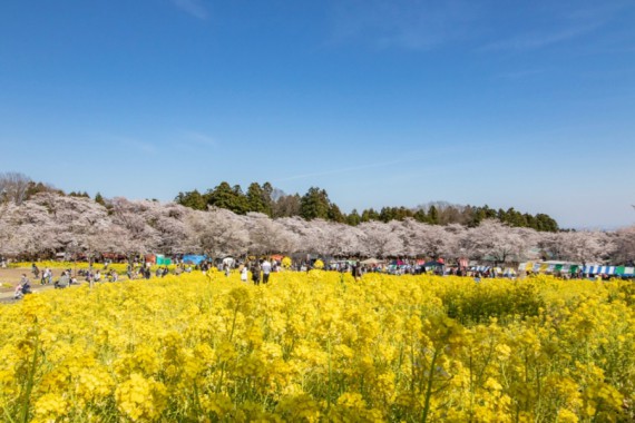 f:id:saikootoko:20200518232711j:plain f:id:saikootoko:20200518232711j:plain