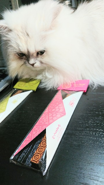 f:id:saikootoko:20211112182815j:image