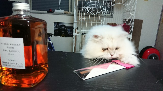 f:id:saikootoko:20211112182927j:image