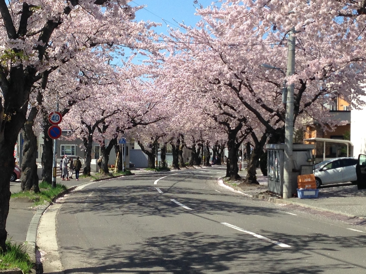 f:id:saikyo77:20190510183432j:plain