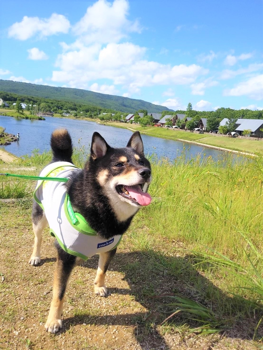f:id:sail-k:20200623085827j:plain
