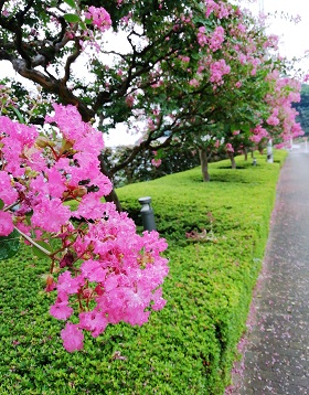 f:id:sail-t:20210812214930j:plain