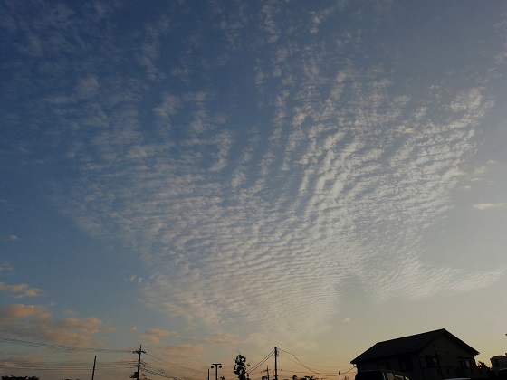 f:id:sail-t:20210814181129j:plain