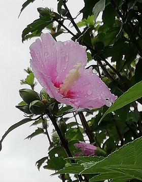 f:id:sail-t:20210815025718j:plain