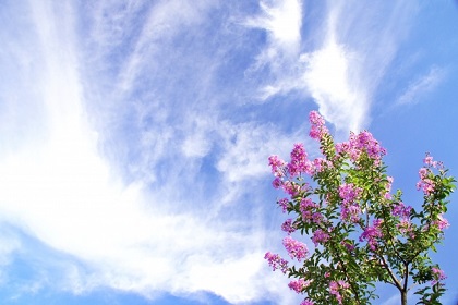 f:id:sail-t:20210820112605j:plain