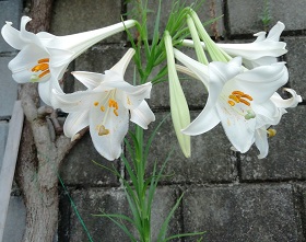 f:id:sail-t:20210821153809j:plain