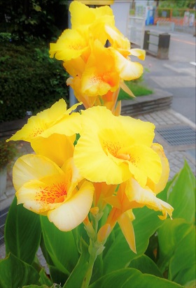 f:id:sail-t:20210821153836j:plain